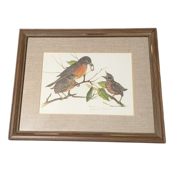 Robin Signed John Allen Bird Print with Wooden Frame - Picture 1 of 8